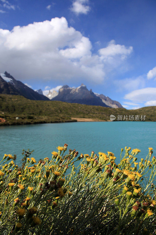 Torres Del Paine国家自然和景观公园，巴塔哥尼亚，智利